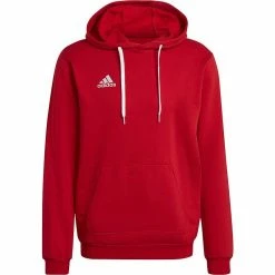 Nieuw 🧨 Adidas Entrada 22 Hoody 😀